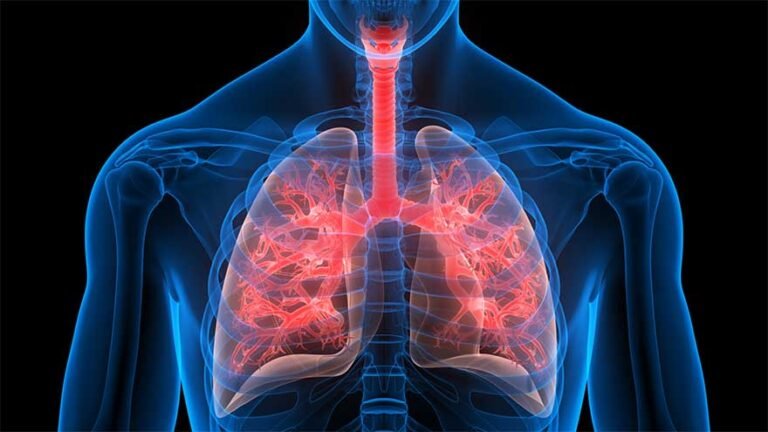 UK scientists create ‘human lung-on-a-chip’ to track disease response