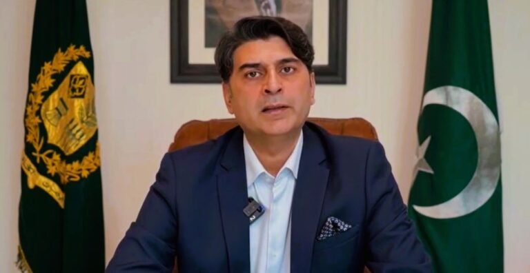 Paper mulberry removal to cut Islamabad allergy cases by over 40%: minister