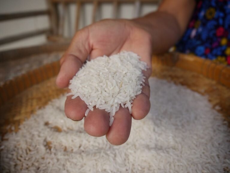 Pakistan pursues rice export deals with Philippines, China