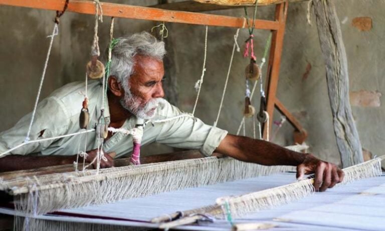 Rs300m livestock fibre project to drive rural industrialisation in GB, AJK