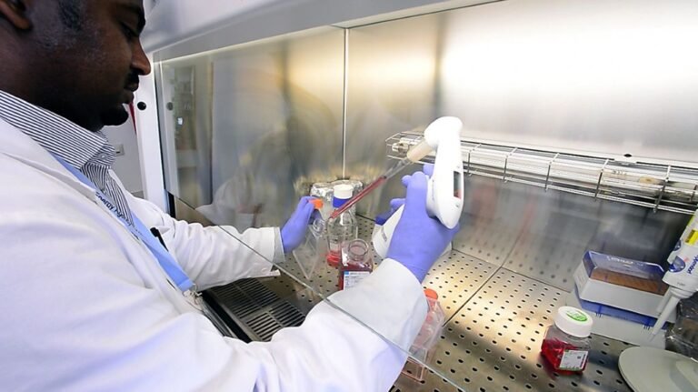 Rs490m lab project planned to boost food safety monitoring