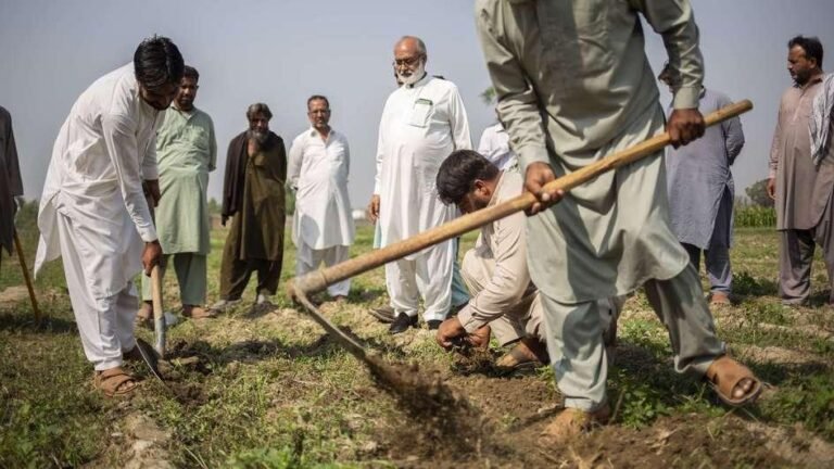 KP spends Rs127.53m on ADB food security project in flood-hit districts