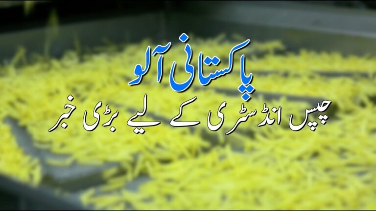 Big news for Pakistan’s potato and chips industry